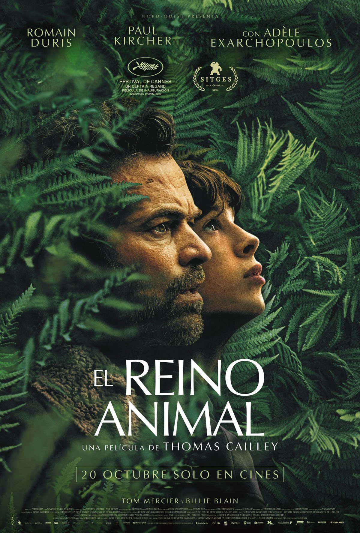 CINE CLUB: EL REINO ANIMAL